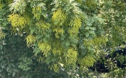 drinking water 雅思口语