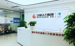 VIP人力资源管理有限公司有何独特优势？