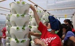 无土栽培招聘，具体岗位要求有哪些？