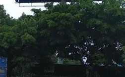 伟易达招聘哪些岗位？要求如何？