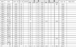 公司成立后工资怎么发？