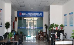 高通人力资源有限公司是做什么的？