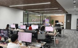 成都软件园人力资源公司有何独特优势？