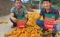 合川农投公司待遇究竟如何？