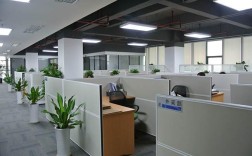 山东人力资源管理公司如何选？