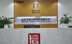 龙信公司小额贷款可靠吗