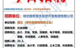 昆明财务招聘