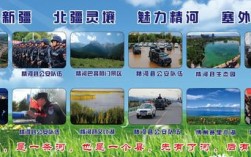 精河县招聘信息有哪些岗位？