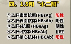 乙肝告知公司，员工隐私与职场权益如何平衡？