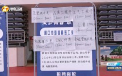 周口市招聘有哪些岗位和要求？