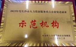 人力资源公司有哪些荣誉？