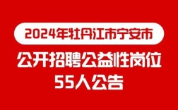 宁安信息网招聘什么岗位？