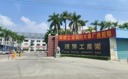 粤好人力资源公司提供哪些人力资源服务？