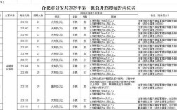 合肥公安招聘何时开始报名？