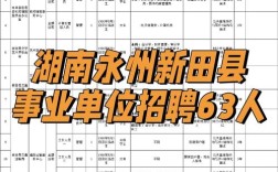 新田招聘网有哪些岗位适合你？