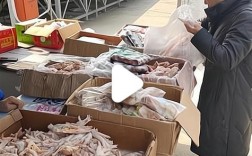 海南东门市场冻品公司哪家靠谱？