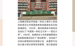 震旦招聘有何新机会或要求？