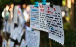 世纪佳缘招聘？有何新岗位或要求？