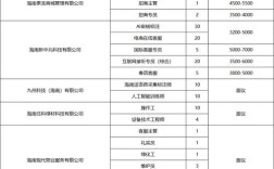 海南江东开发公司招聘