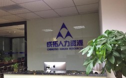 合肥市人力资源有限公司提供哪些服务？