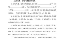 如何写出一份规范的公司聘用通知书？