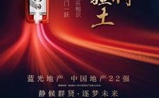 蓝光地产招聘什么岗位？