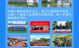 豪恩招聘有哪些岗位在招？