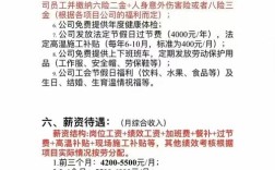 刚成立公司招聘要求低，是机会还是陷阱？
