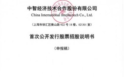 中智对标书核心内容是什么？