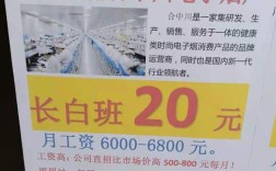 东莞虎门招聘网有哪些岗位在招人？