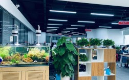 人力资源服务公司外包如何提升企业效能？