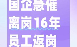 新公司为何暂未设立人事岗位？