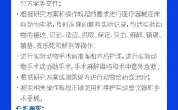 临港集团招聘有哪些岗位和要求？