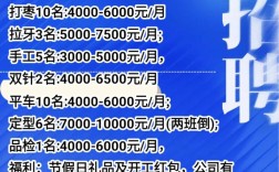 石城县招聘有哪些岗位？要求是什么？