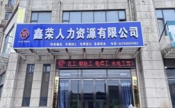 博立源人力资源，专注哪些领域的人才服务？