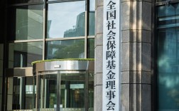 南京社会管理保险公司有何独特职能？