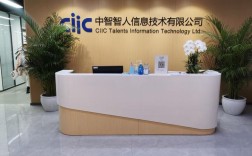 中智人力资源山东分公司有何独特优势？