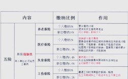 新成立公司暂未交五险一金怎么办？