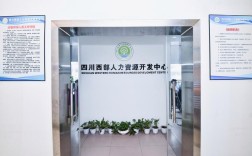 人才资源如何助力发展有限公司发展？