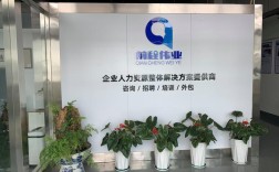 国内著名人力资源公司有何优势？