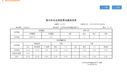 社保公司明细如何查询吗