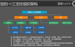公司人力资源团队规模有多大？