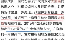 熊猫基地招聘啥岗位？要求高吗？