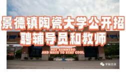 景德镇信息网招聘，有哪些岗位？