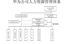 华为人力资源分布有何特点？
