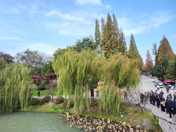 西北农林科大风景园林考研，如何高效备考？-图2