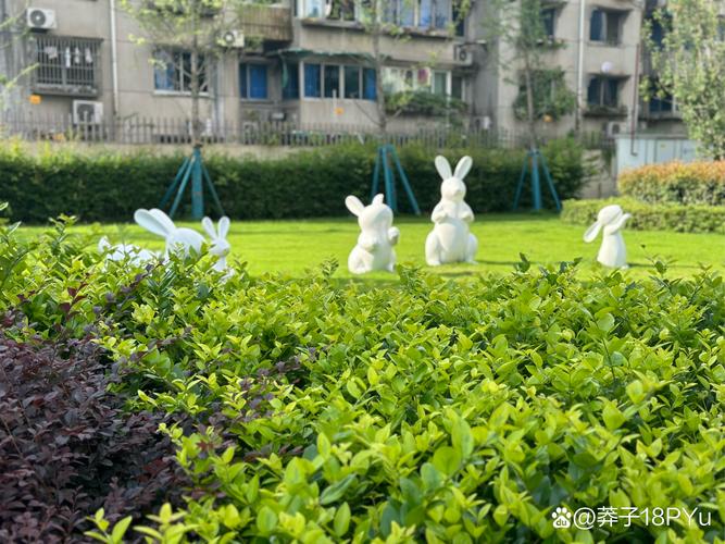 drinking water 雅思口语-图2