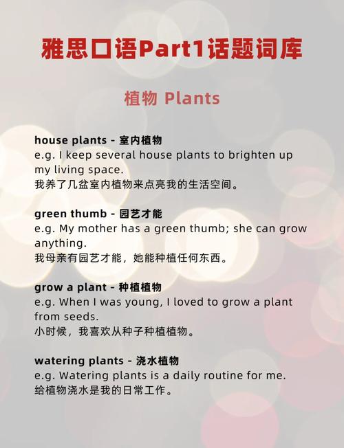 雅思口语室内活动如何高效表达？-图1