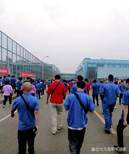 大连第三方人力公司有何优势？-图2