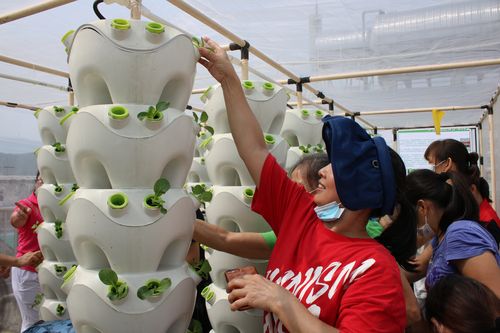 无土栽培招聘，具体岗位要求有哪些？-图1